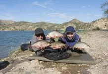 Megavoorns van de Spaanse Ebro