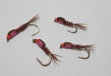 Barbie Pheasant Tail
