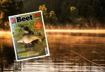 Beet 3 komt eraan!