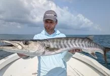 De snoek van de oceaan