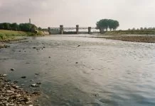 Euforie aan de Grensmaas