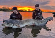 Nieuw Nederlands record meerval