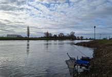Vissen op kribben…